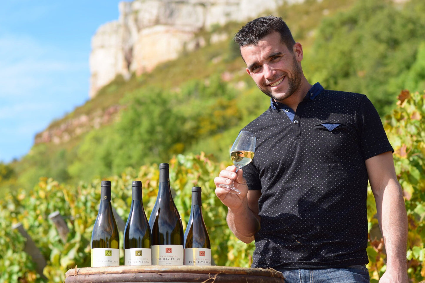David Bienfait, Saint-Véran Clos des Poncetys, 2017, Mâconnais, Burgundy, France