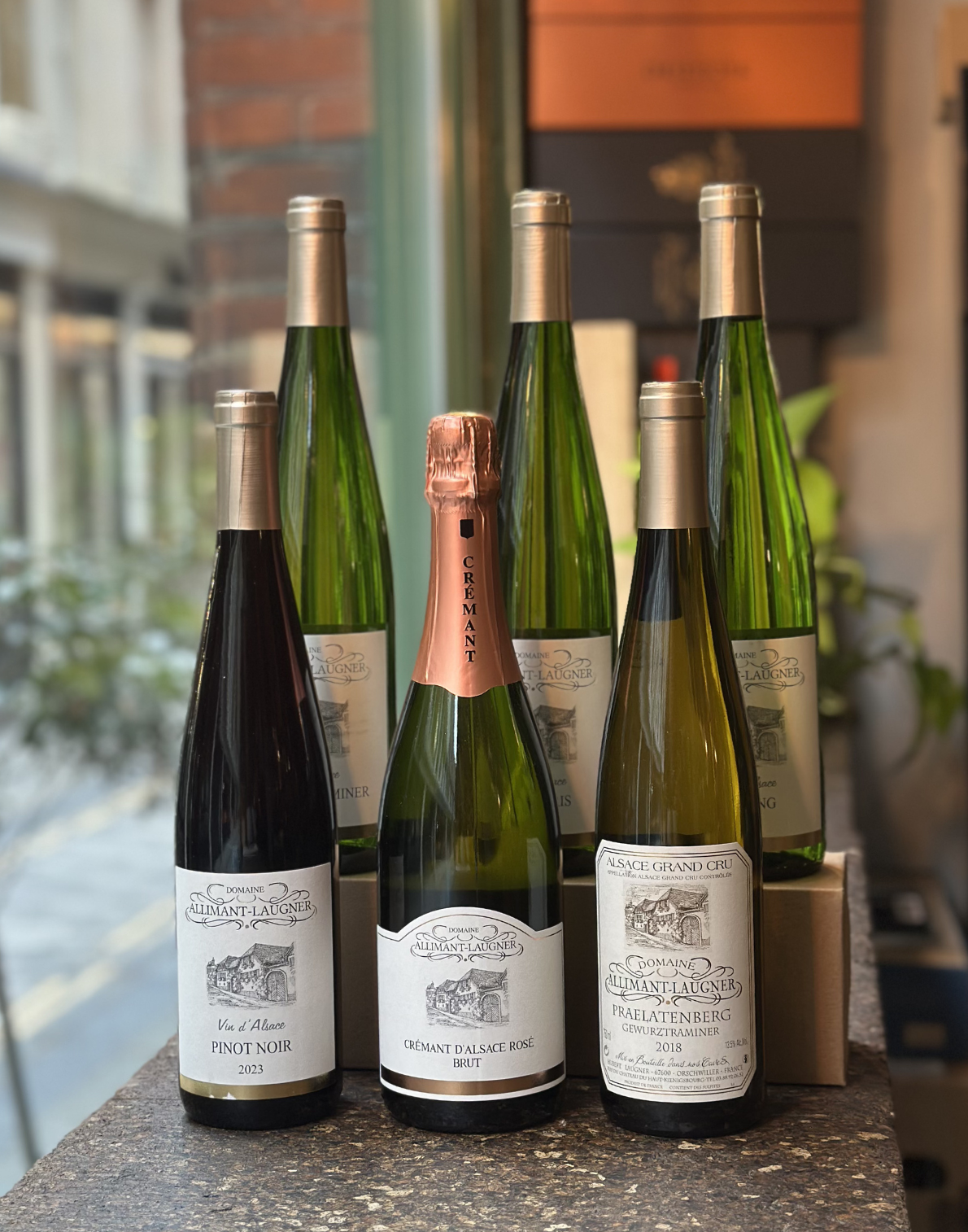 Discovery Case: Alsace