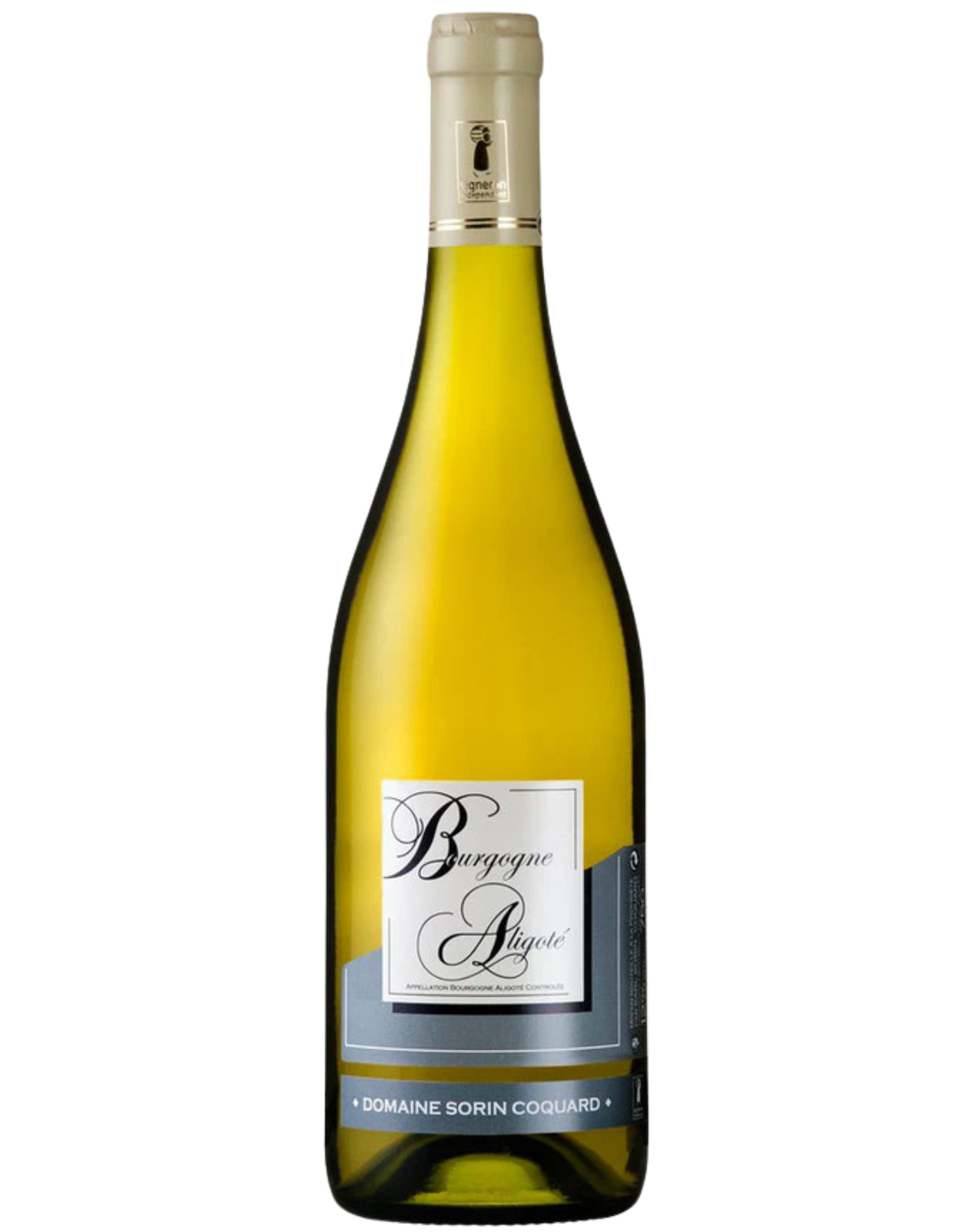 Domaine Sorin Coquard, 2024, Bourgogne Aligoté, Burgundy, France