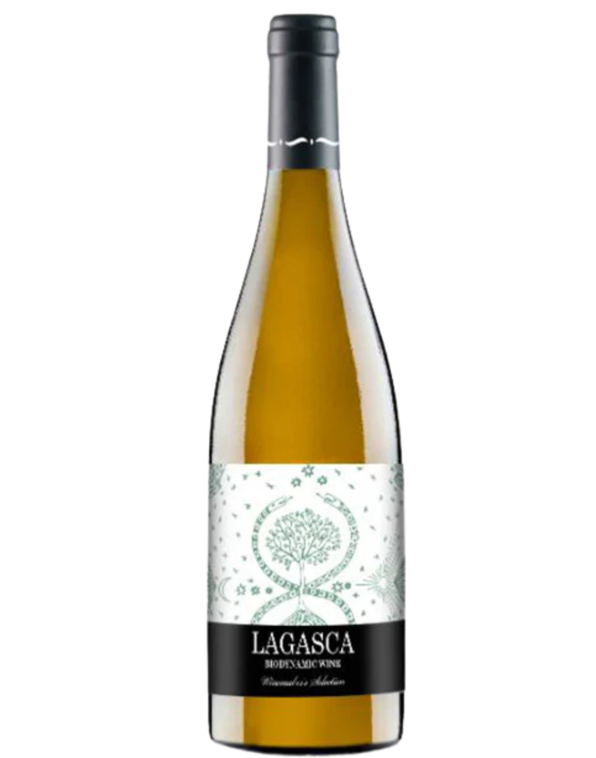 Dominio de Punctum Lagasca Viognier, 2023, La Mancha, Spain