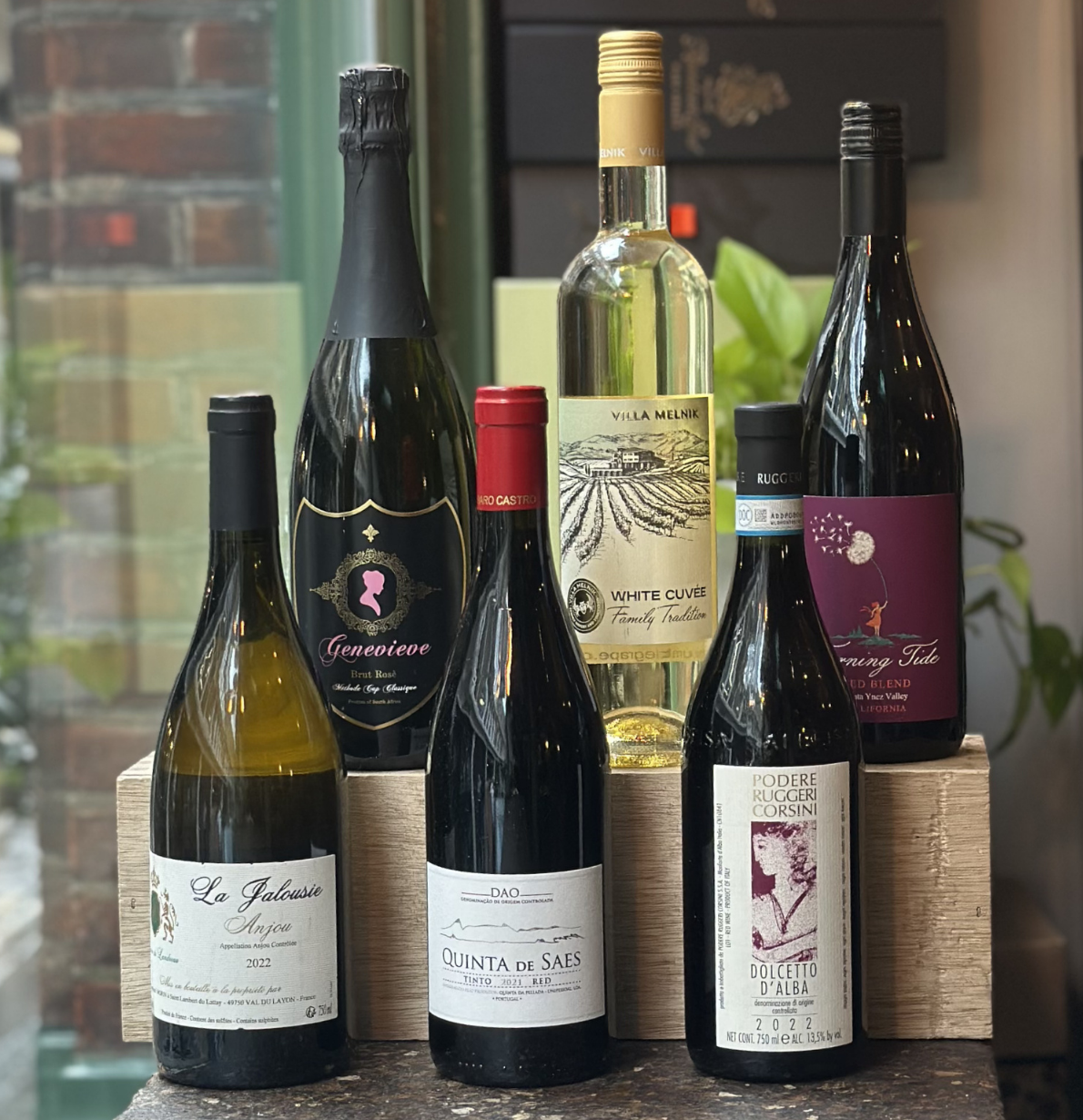 Women in Wine Discovery Case
