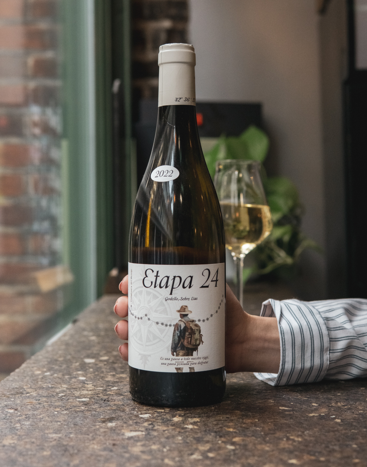 Adria Vega Montán Godello Sobre Lias, 2022, Bierzo, Spain