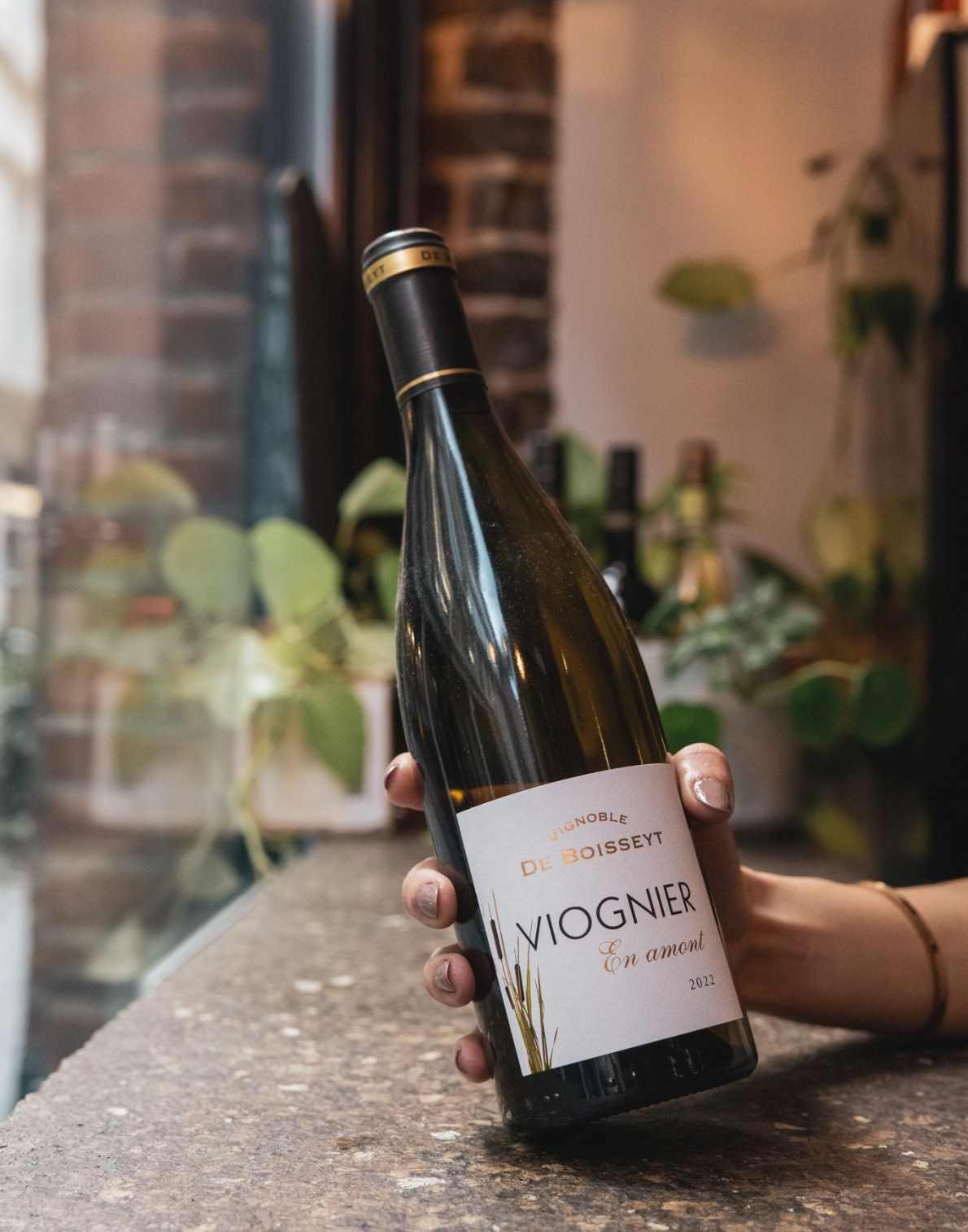 Domaine de Boisseyt "En Amont' Viognier, 2022, Northern Rhône, France