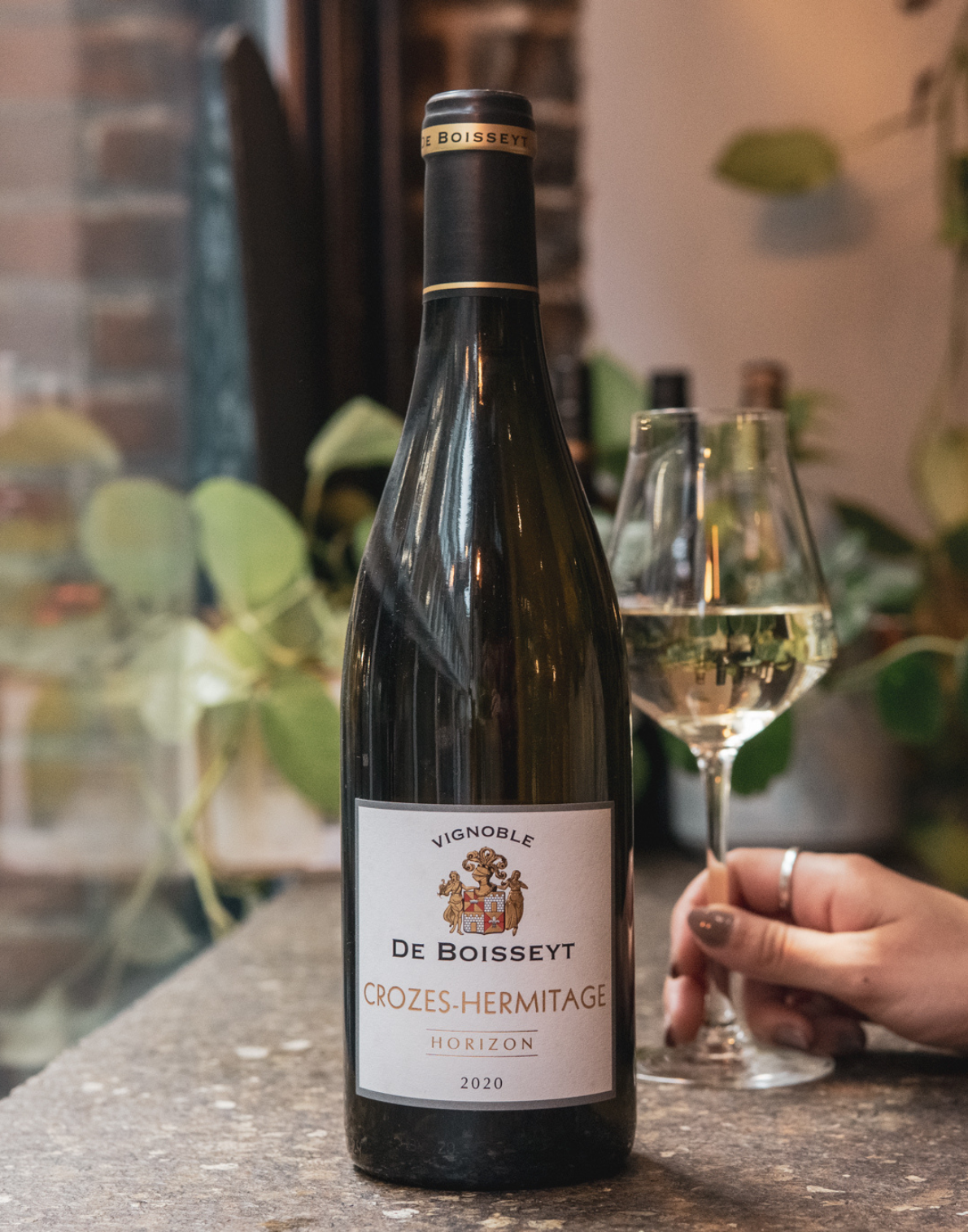 Domaine de Boisseyt Crozes-Hermitage Horizon 2020, Crozes-Hermitage, Northern Rhône, France