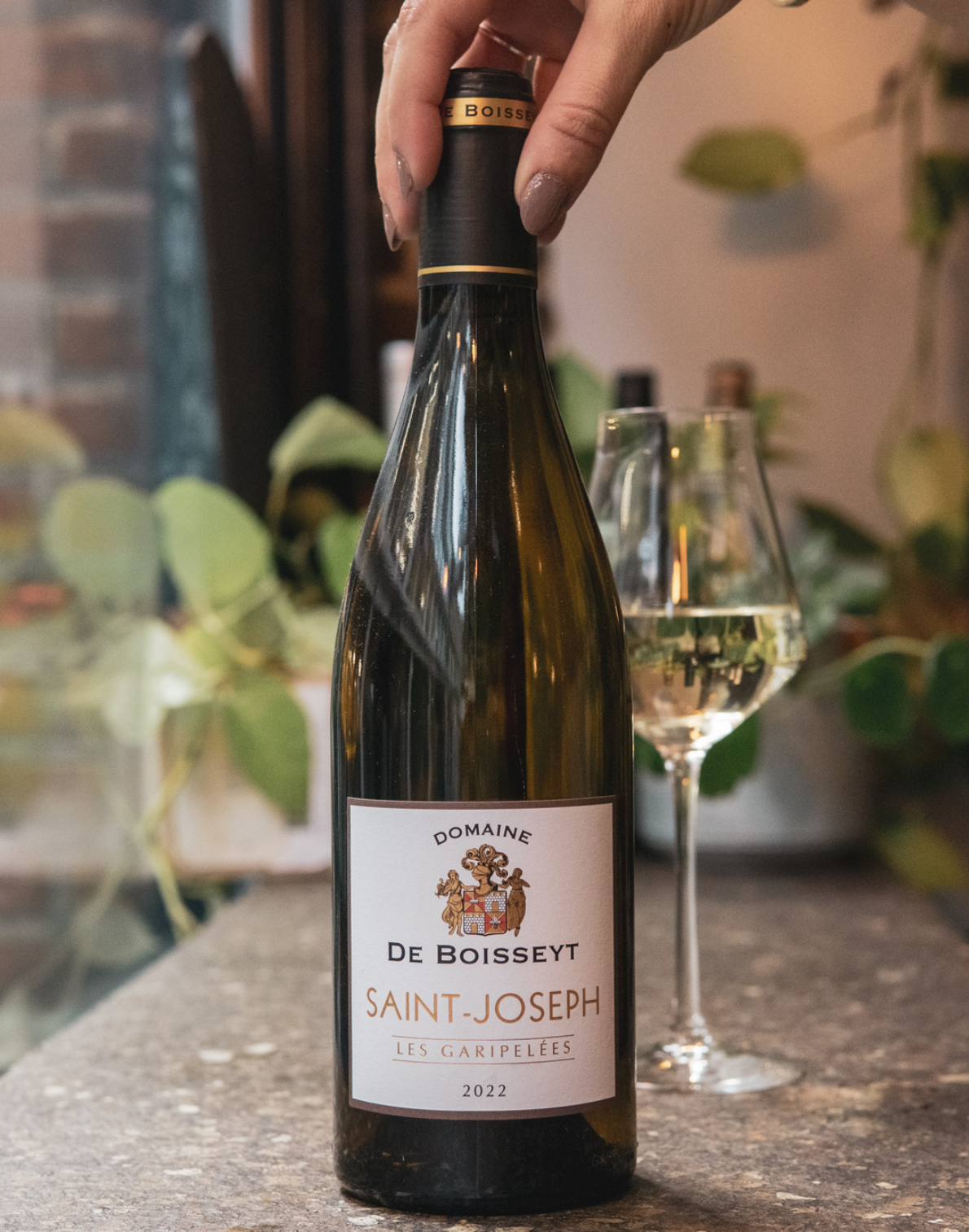 Domaine de Boisseyt Saint-Joseph, 'Les Garipelées' Blanc, 2022, St Joseph, Northern Rhône, France