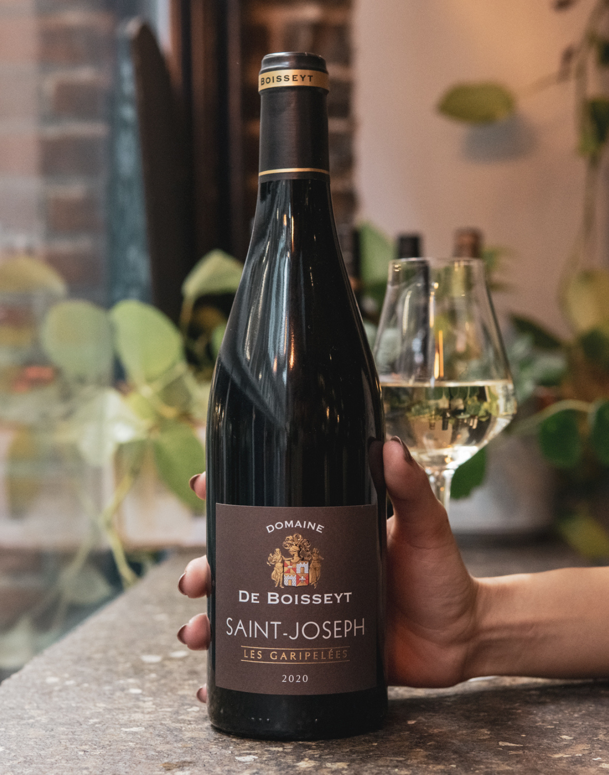 Domaine de Boisseyt Saint-Joseph 'Les Garipelées' Rouge 2021, Northern Rhône, France