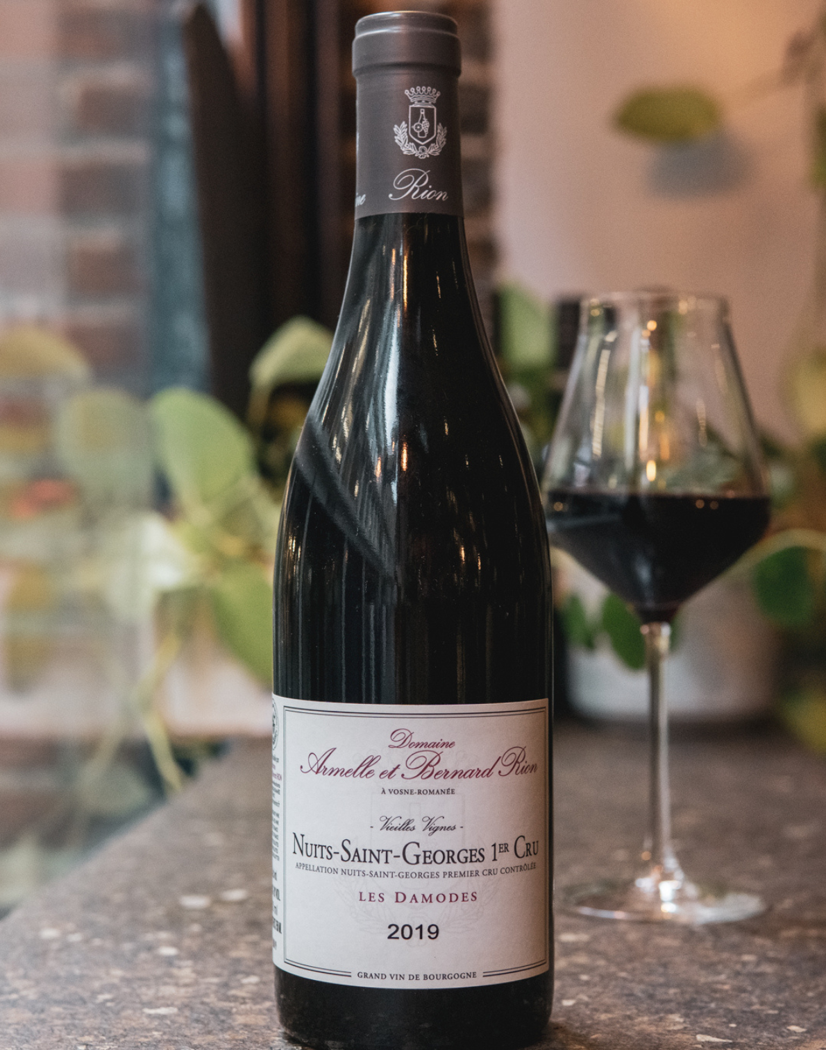 Domaine Armelle & Bernard Rion, Nuits-Saint-Georges 1er Cru "Les Damodes", 2019, Burgundy, France