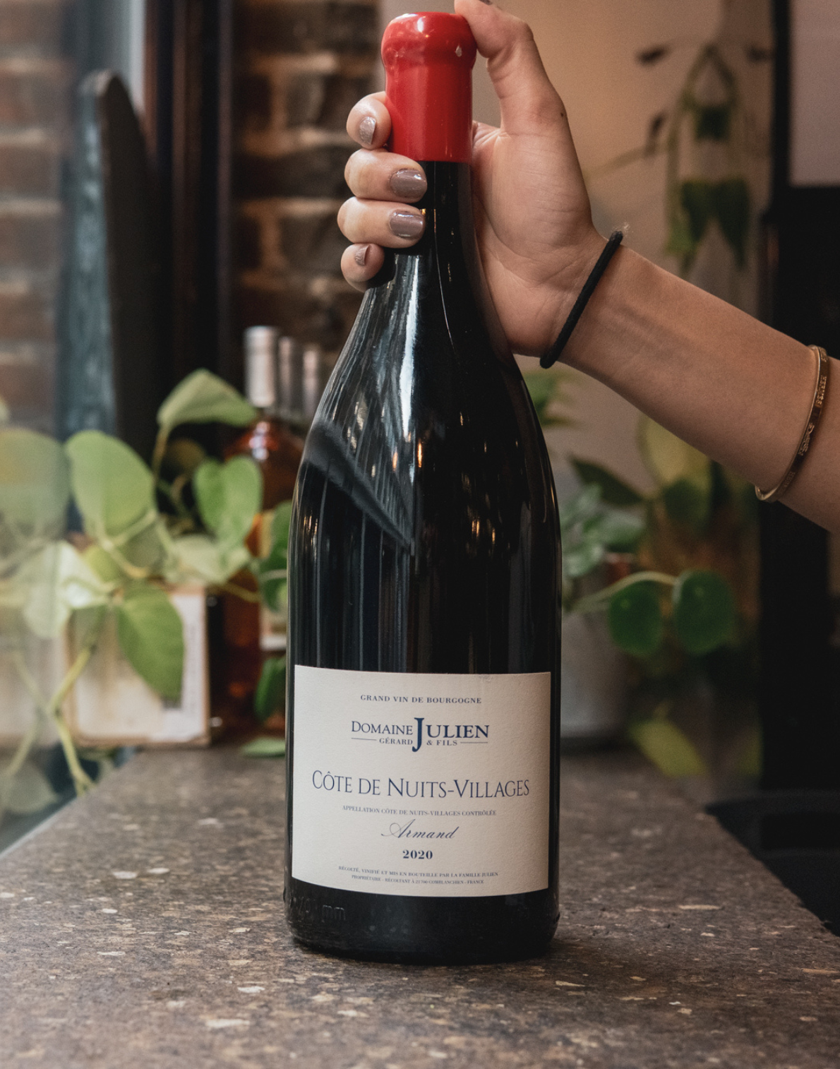 Domaine Gérard Julien & Fils,Côte de Nuits-Villages “Armand”, 2020, Burgundy, Côte de Nuits, France MAGNUM