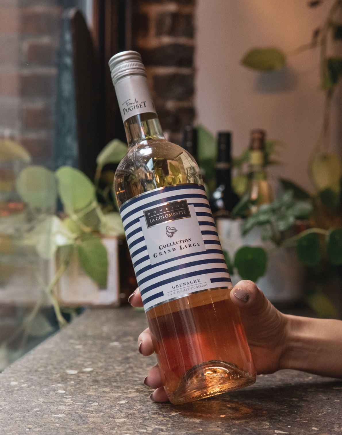 Domaine la Colombette Rosé, 2023, Languedoc, France