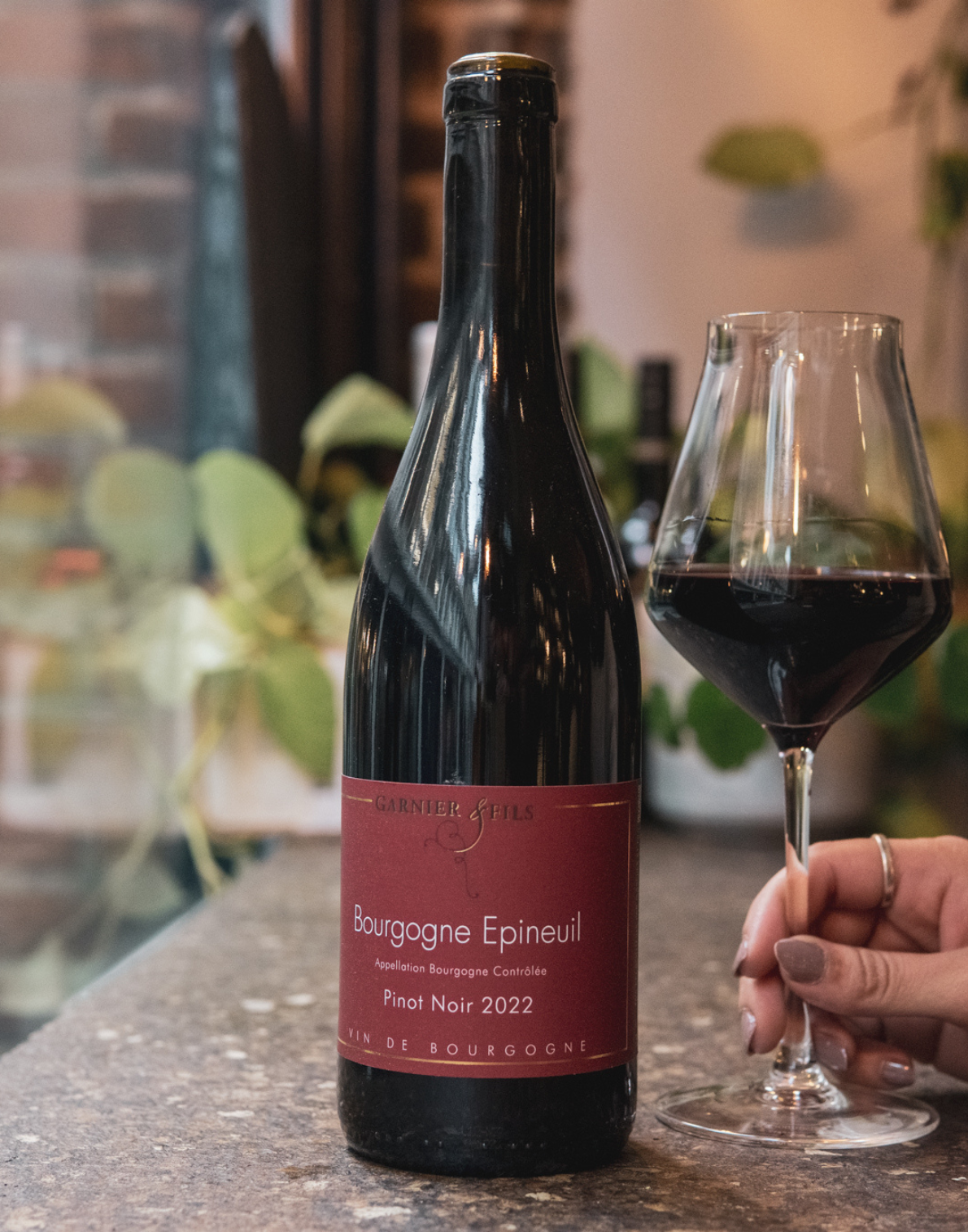 Domaine Garnier & Fils, Bourgogne Epineuil Pinot Noir, 2022, Burgundy, Chablis, France