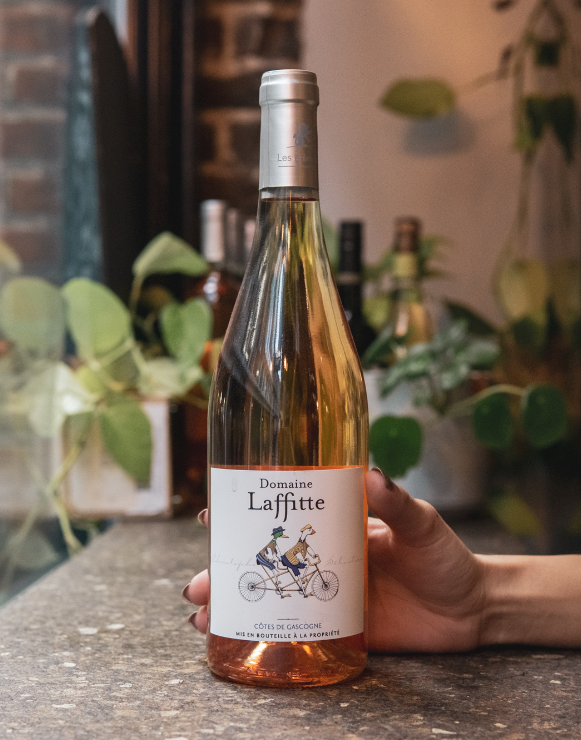 Les Frères Laffitte Colombard et Sauvignon Blanc, 2023, Gascogne, France