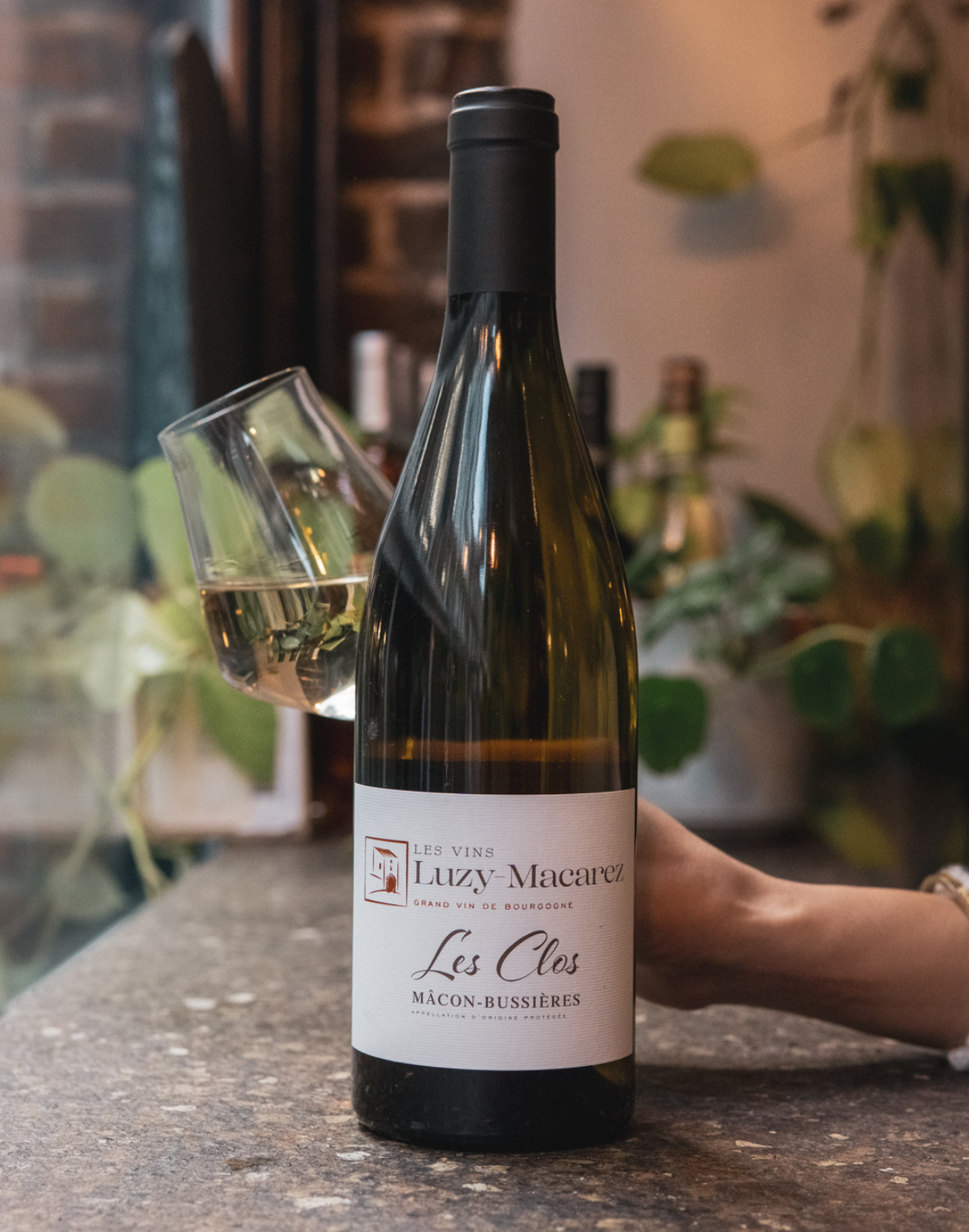 Luzy Macarez, Macon Bussières 2022, Mâconnais, Burgundy, France