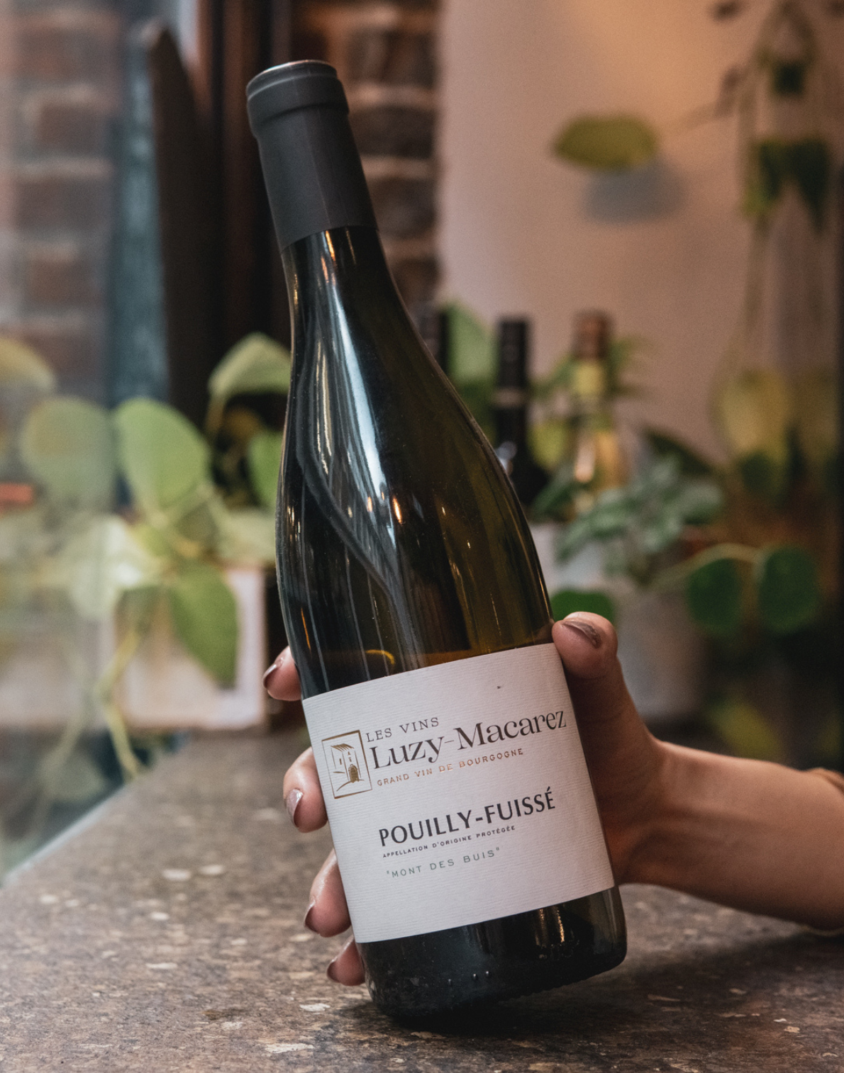 Luzy Macarez Pouilly-Fuissé Mont Des Buis, 2021, Mâconnais, Burgundy, France