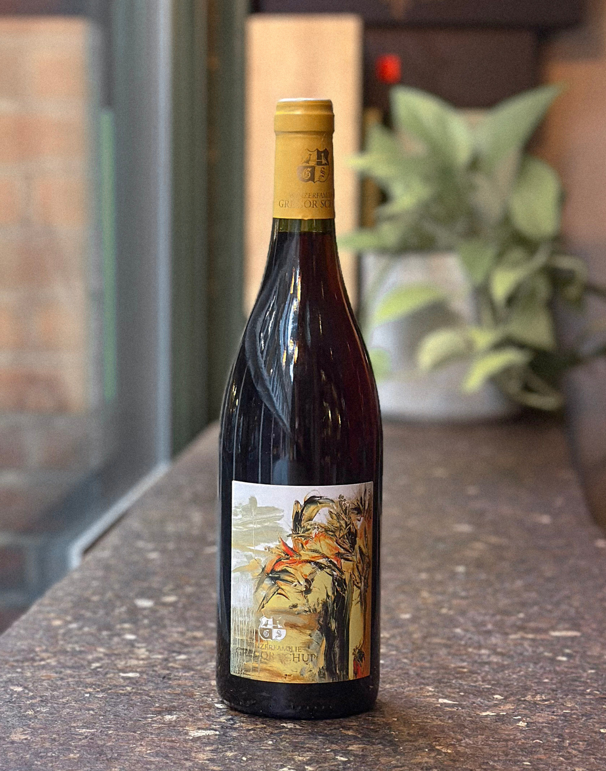 Winzer Familie Gregor Schup, Pinot Noir, 2016, Thermenregion, Austria