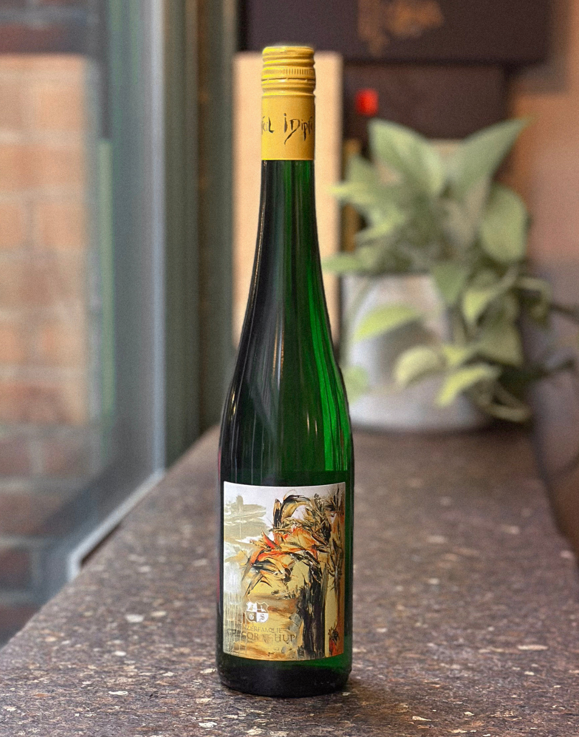Winzer Familie Gregor Schup Riesling, 2020, Thermenregion Austria