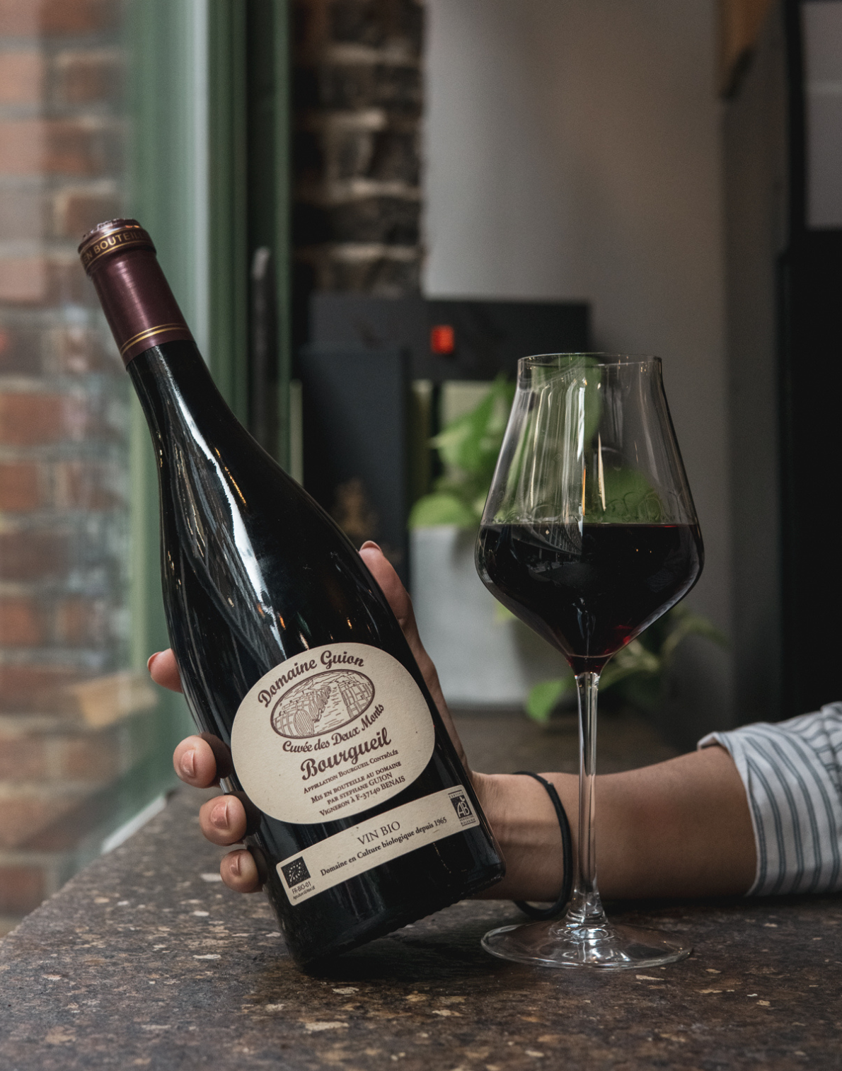 Domaine Guion Deux Monts 2014, Bourgueil, Loire Valley, France