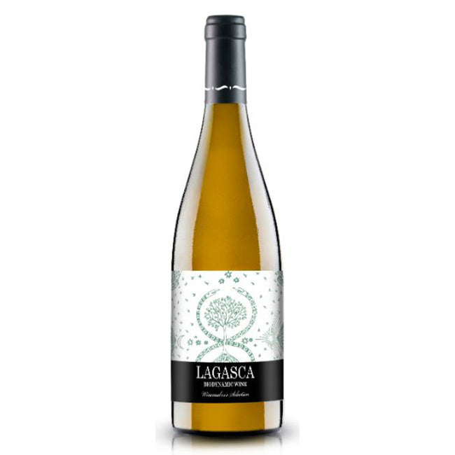 Dominio de Punctum Lagasca Viognier, 2023, La Mancha DO, Spain